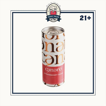 Canard Strawberry Gose Craft Beer Can 330ml 1