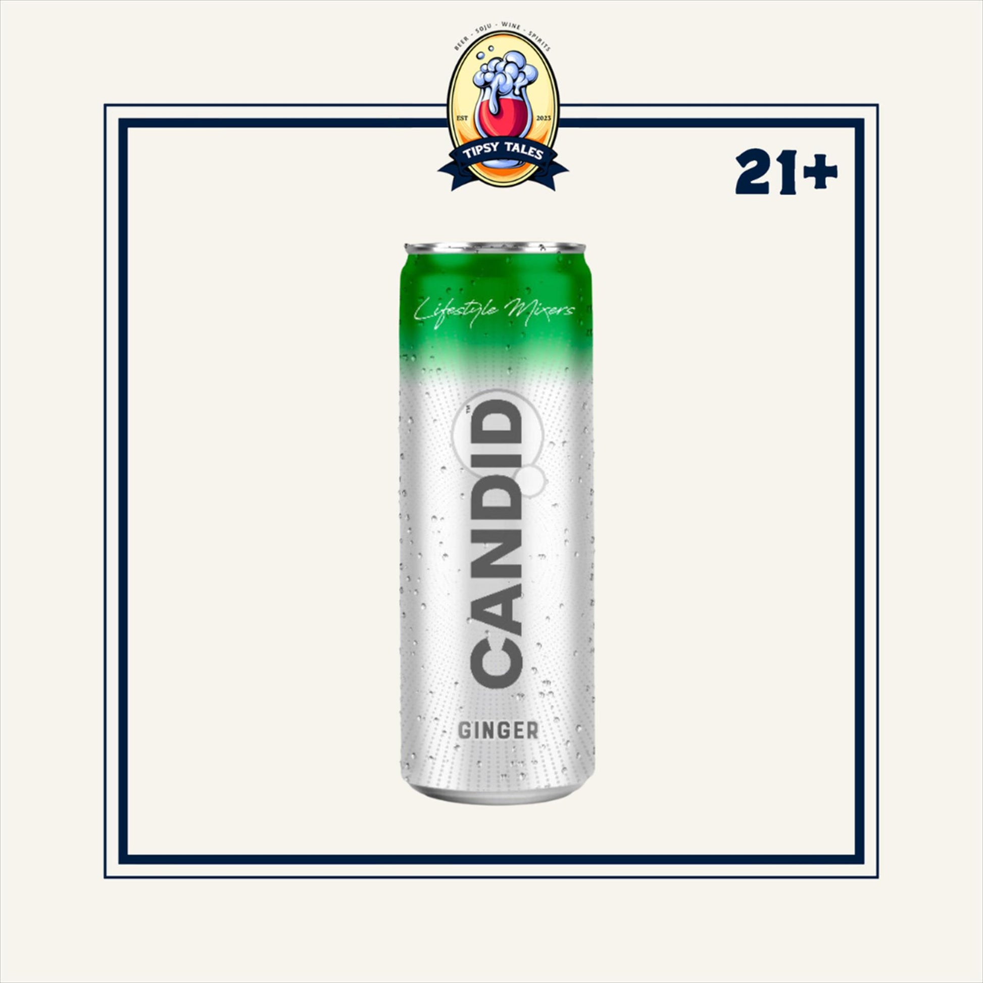 Mixer Candid Ginger Ale 250ml 1