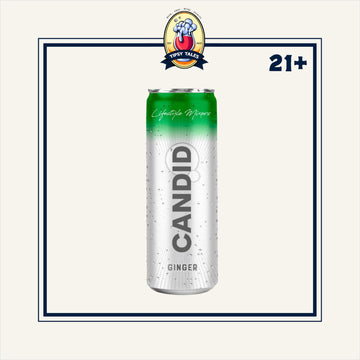 Mixer Candid Ginger Ale 250ml 1